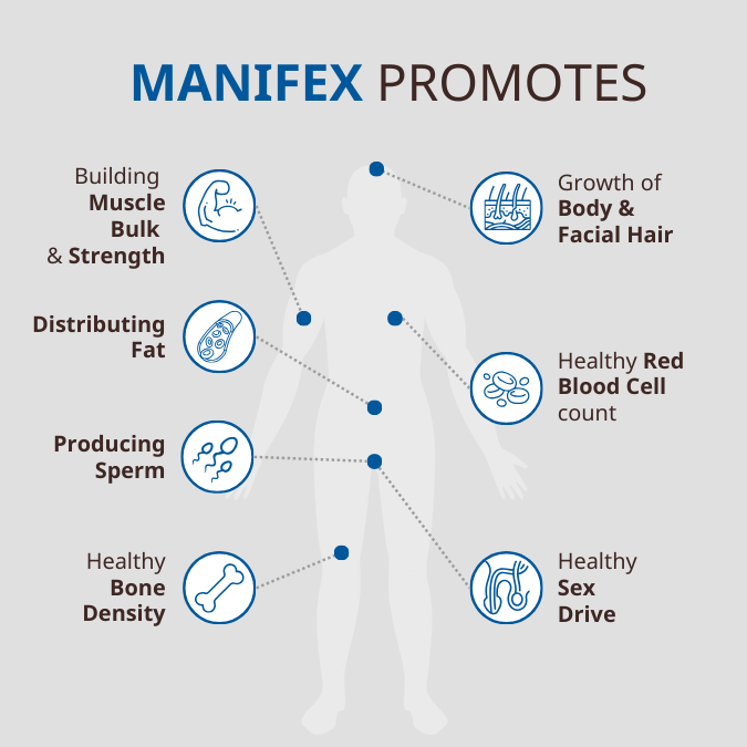 MANIFEX – Strong, Balanced, Vital