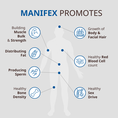 MANIFEX – Strong, Balanced, Vital